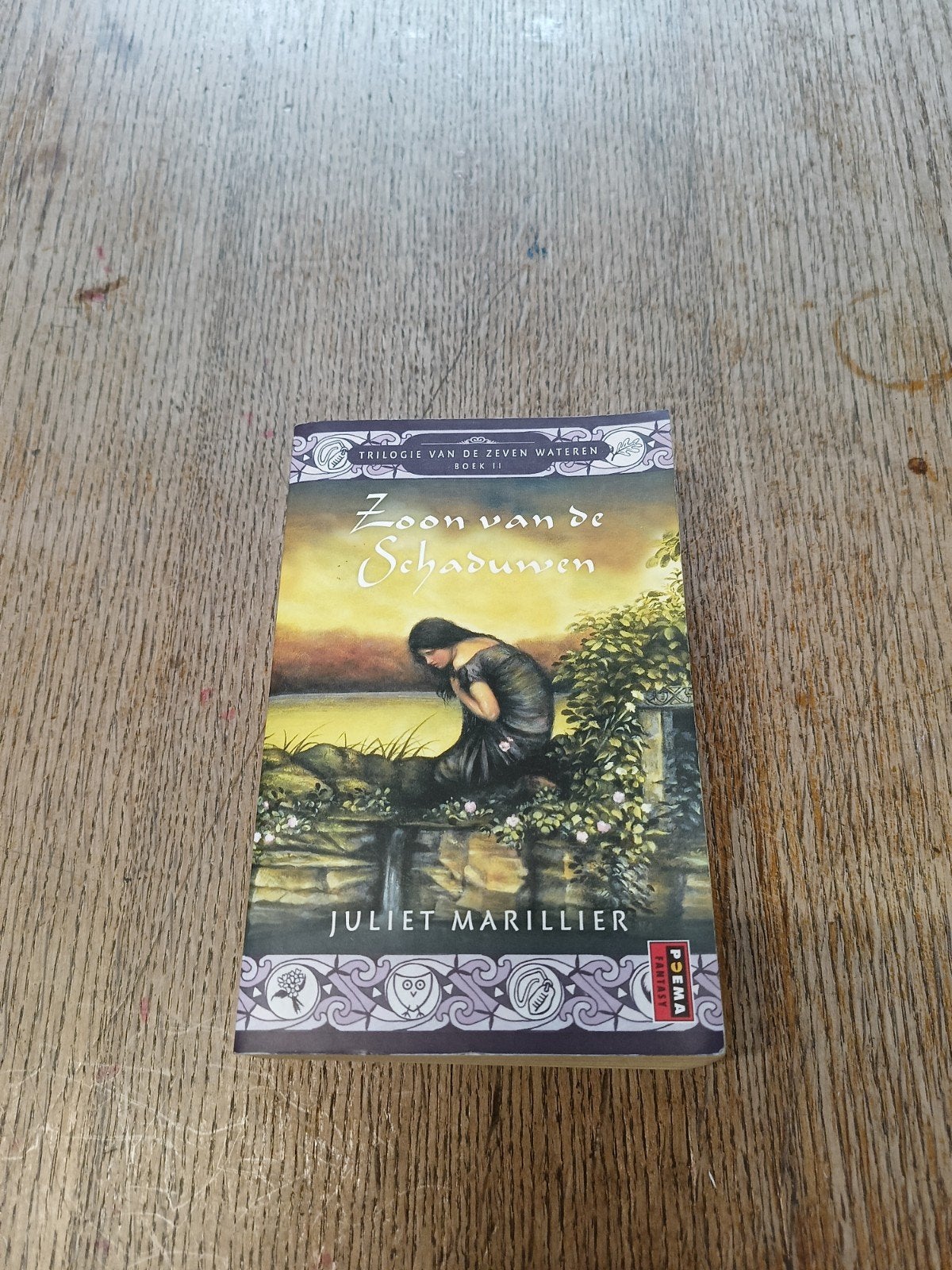 Zoon van de Schaduwen - Juliet Marillier (Boek 2), Boeken, Ophalen of Verzenden, Gelezen, Juliet Marillier