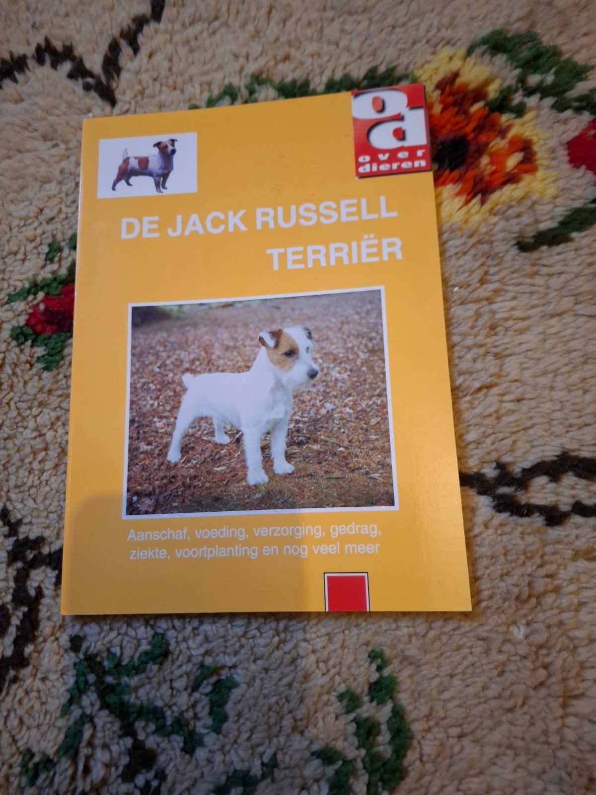 Boek: De Jack Russell Terriër - Alles over dit hondenras, Ophalen of Verzenden, Gelezen, Honden