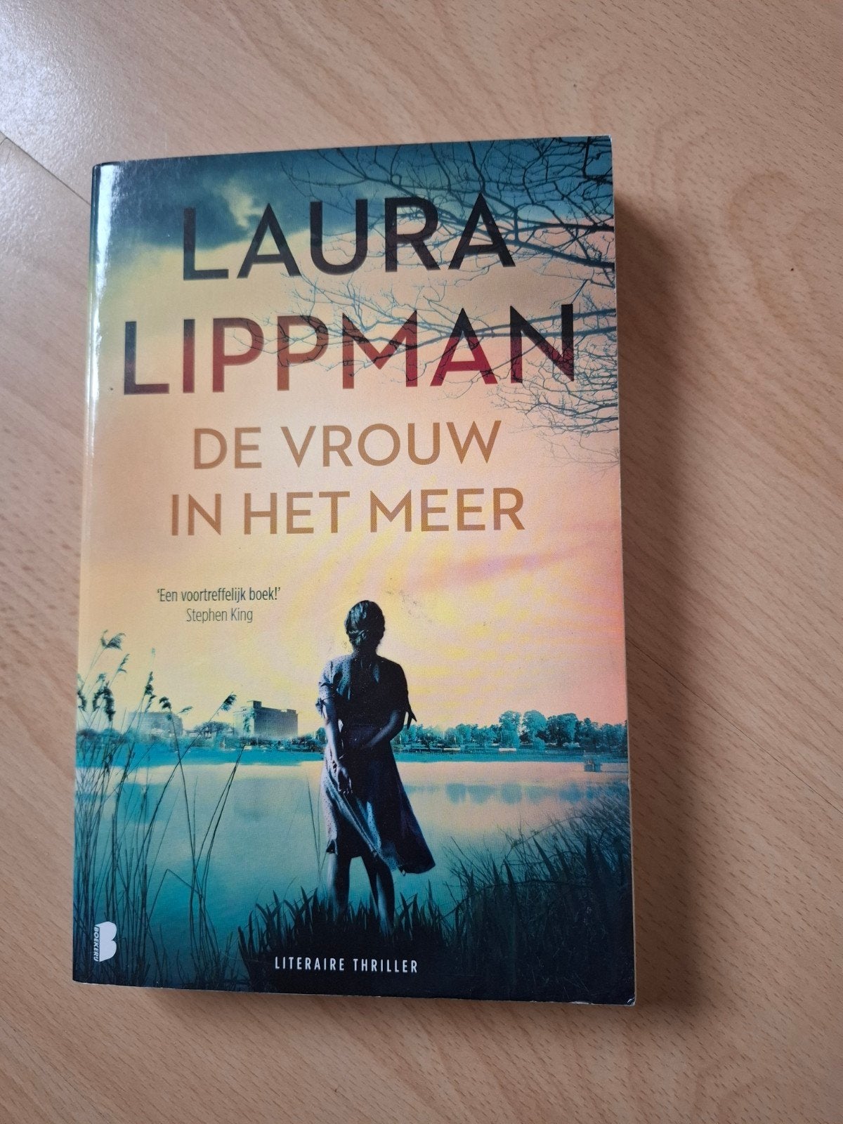 Laura Lippman De vrouw in het meer, Ophalen of Verzenden, Zo goed als nieuw