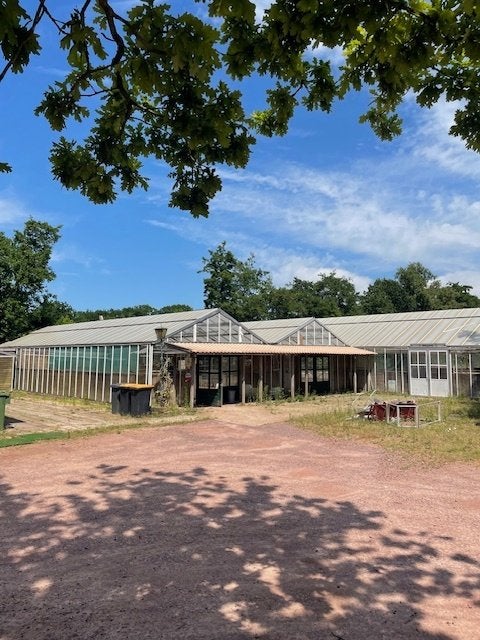 kas te koop! 360m²+, Tuin en Terras, Kassen, Gebruikt, Aluminium, Glas, Ophalen