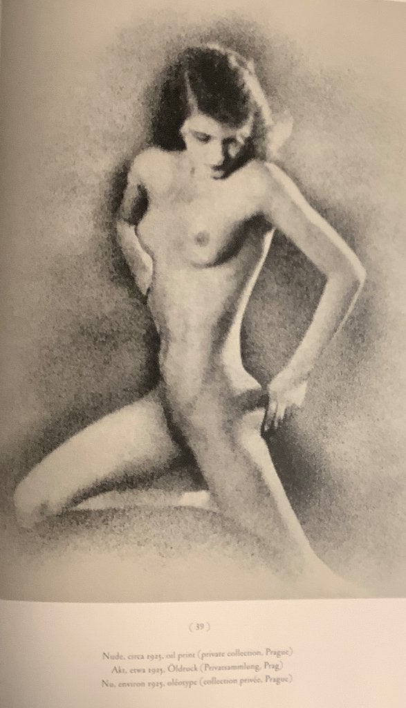 naaktfotografie zw/wit Frantisek Drtikol Tsjechie monografie, Ophalen of Verzenden, Zo goed als nieuw, Fotografen
