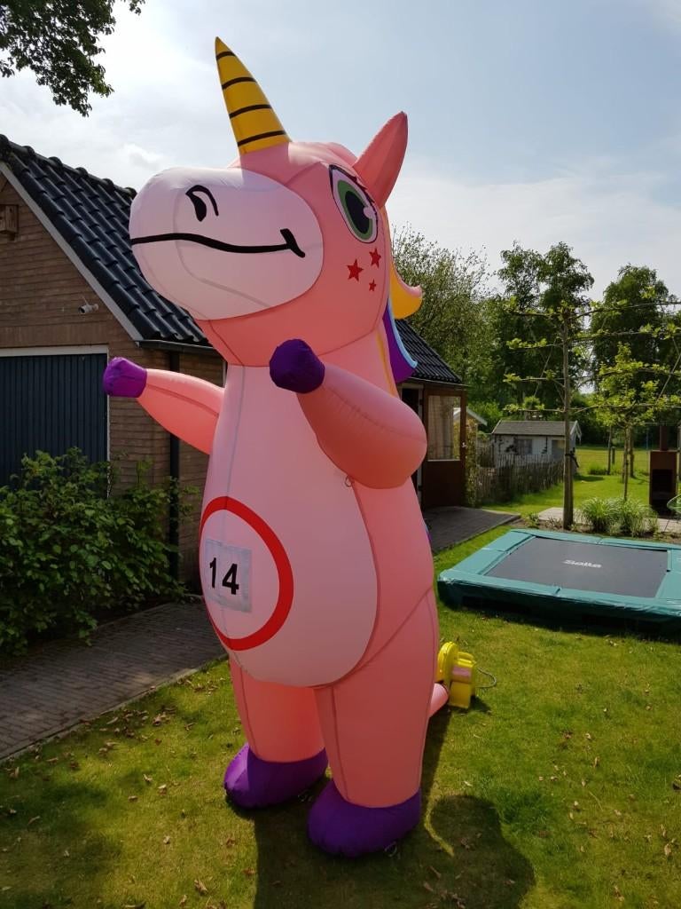 Unicorn of Dino / Draakje kostuum huren? Slecht 30 euro pst, Ophalen, Zo goed als nieuw, Abraham of Sarah