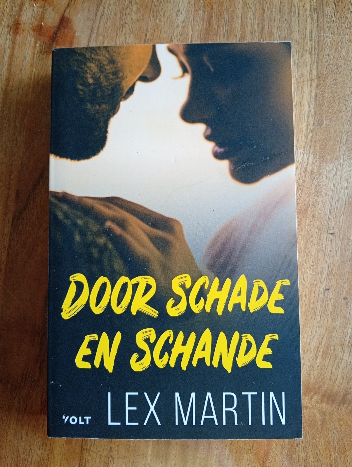Door Schade en Schande - Lex Martin (Roman), Lex Martin, Ophalen of Verzenden, Zo goed als nieuw, Nederland