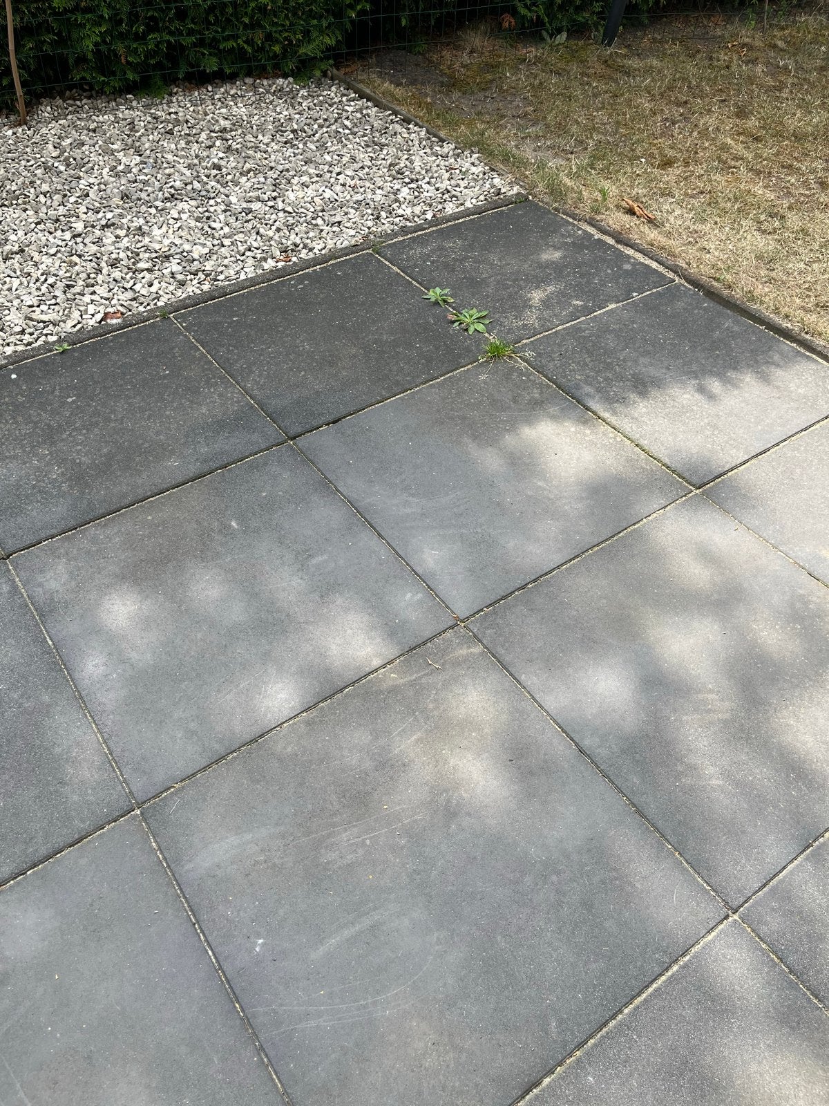 10m2 grijze terrastegels 60x60 cm, Tuin en Terras, Tegels en Klinkers, Ophalen, Gebruikt, 10 m² of meer, Beton