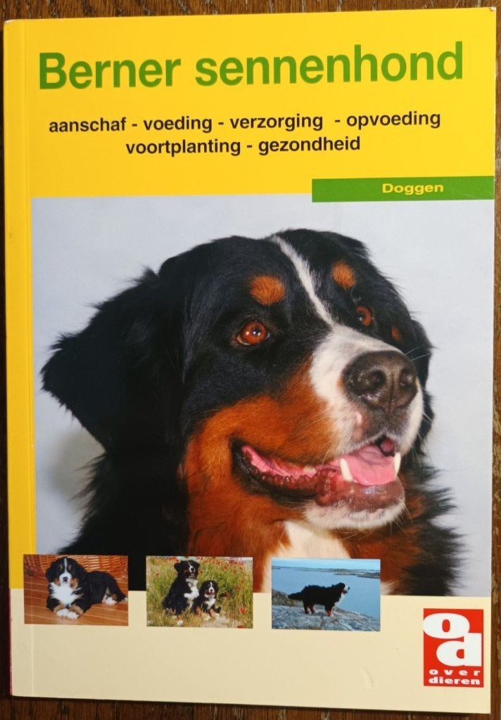 Berner sennenhond, Ophalen of Verzenden, Zo goed als nieuw, Honden