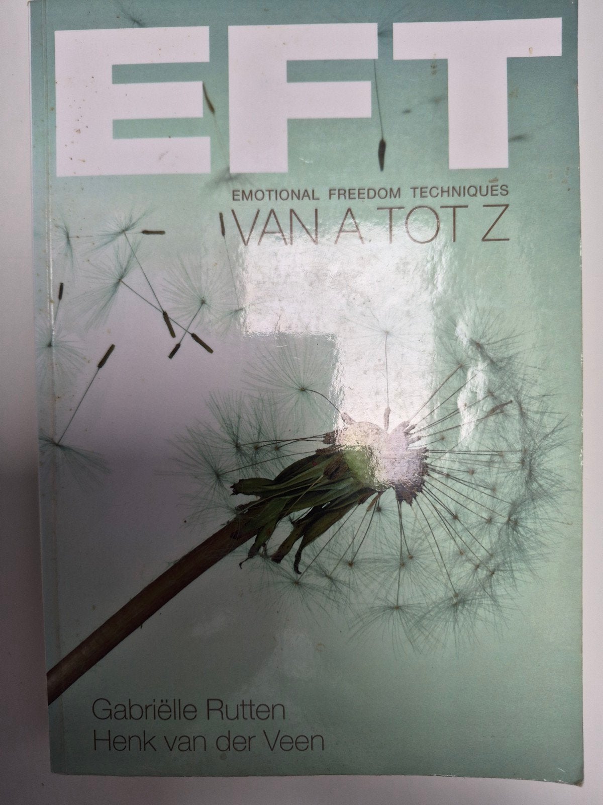 EFT: Emotional Freedom Techniques van A tot Z, Spiritualiteit algemeen, Ophalen of Verzenden, Zo goed als nieuw, Instructieboek