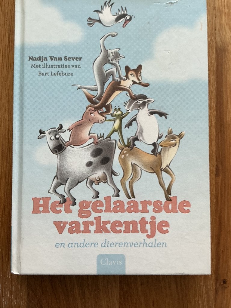 Het gelaarsde varkentje, Fictie algemeen, Ophalen of Verzenden, Zo goed als nieuw, Nadja van Sever