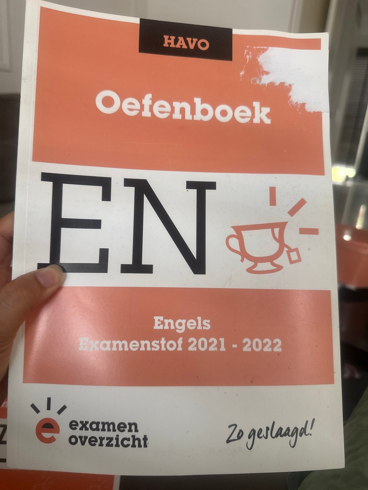Examenboeken Engels 5 havo (Oefenboek, Samenvatting, Idioom), Ophalen of Verzenden, Gelezen, HAVO, Engels