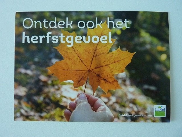2016 herfstgevoel bij LANDAL, Ophalen, 1980 tot heden, Ongelopen, Gelderland