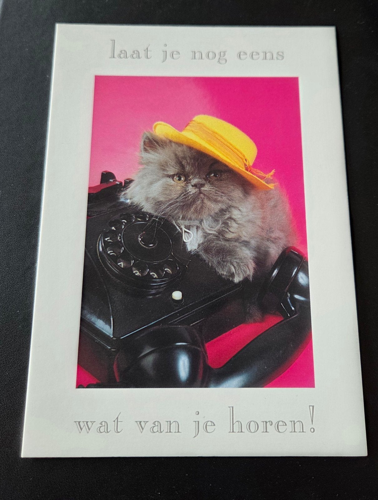 Grappige Ansichtkaart Kat met Hoed en Telefoon, Verzenden, 1980 tot heden, Ongelopen, Hond of Kat