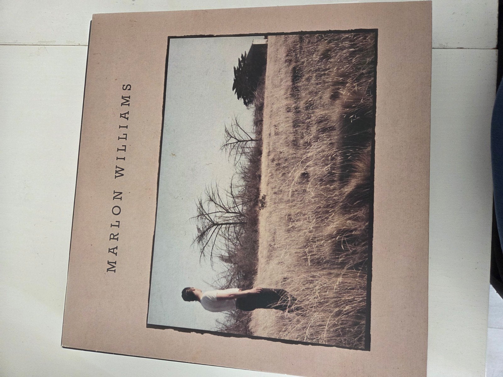 Marlon Williams - Marlon Williams (Vinyl LP), Ophalen of Verzenden, Zo goed als nieuw