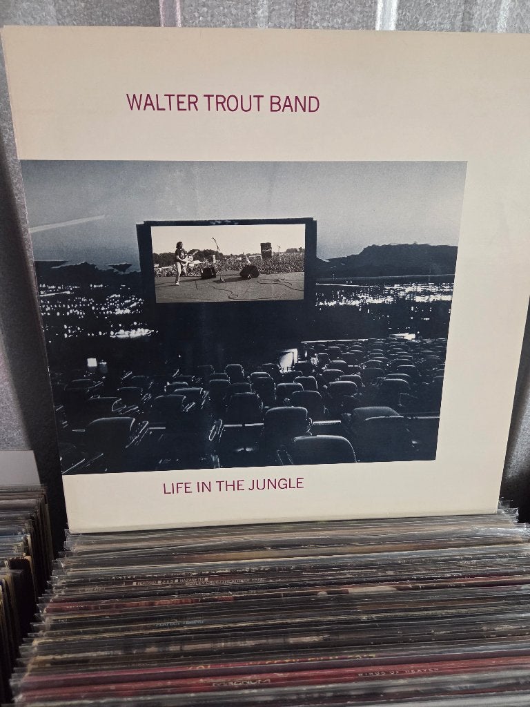 Blues lp WALTER TROUT BAND: LIFE IN THE JUNGLE, Gebruikt, Inclusief binnenhoes, Ophalen of Verzenden, 12 inch
