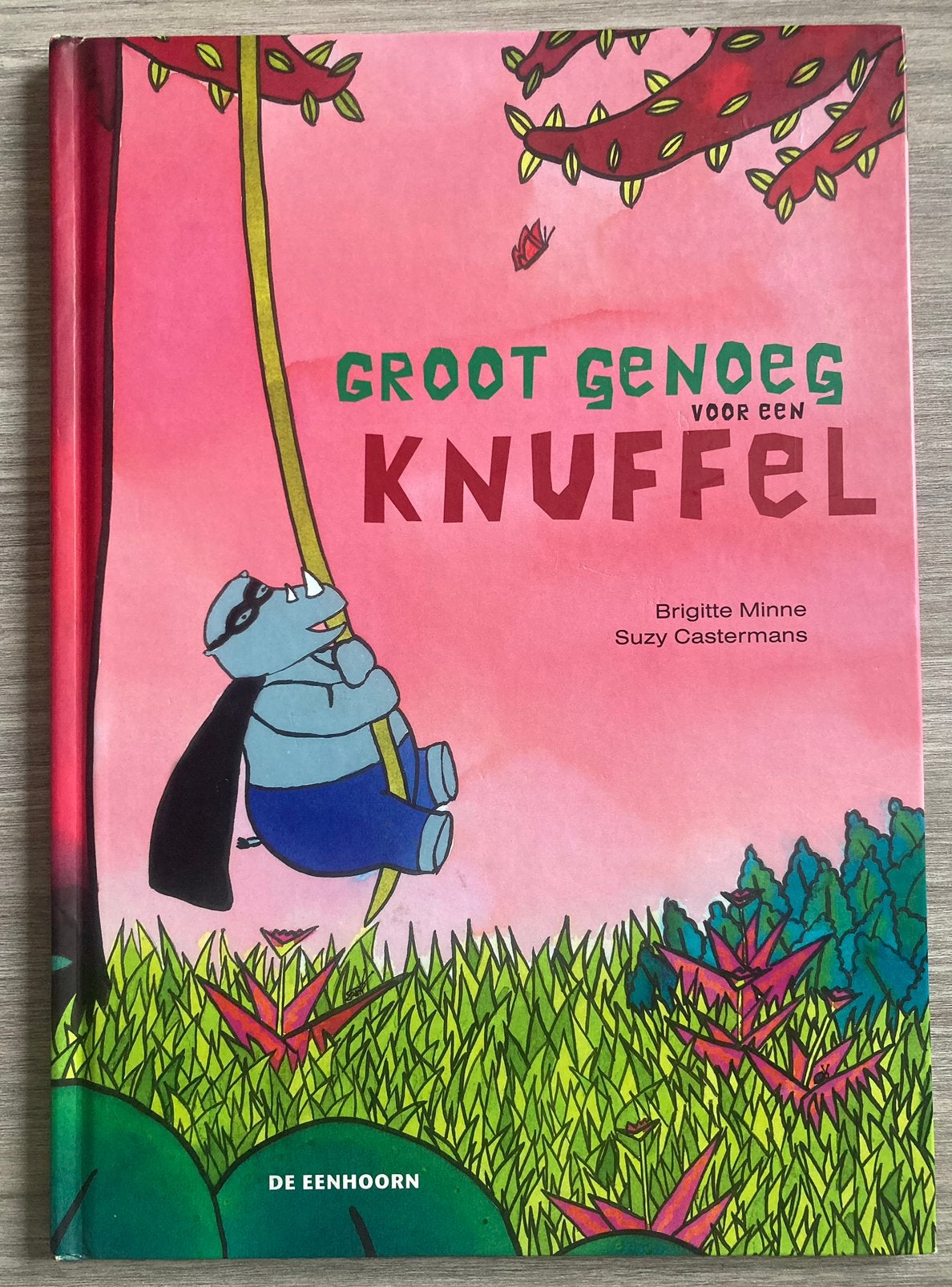 Groot genoeg voor een knuffel - Brigitte Minne, Ophalen of Verzenden, Zo goed als nieuw