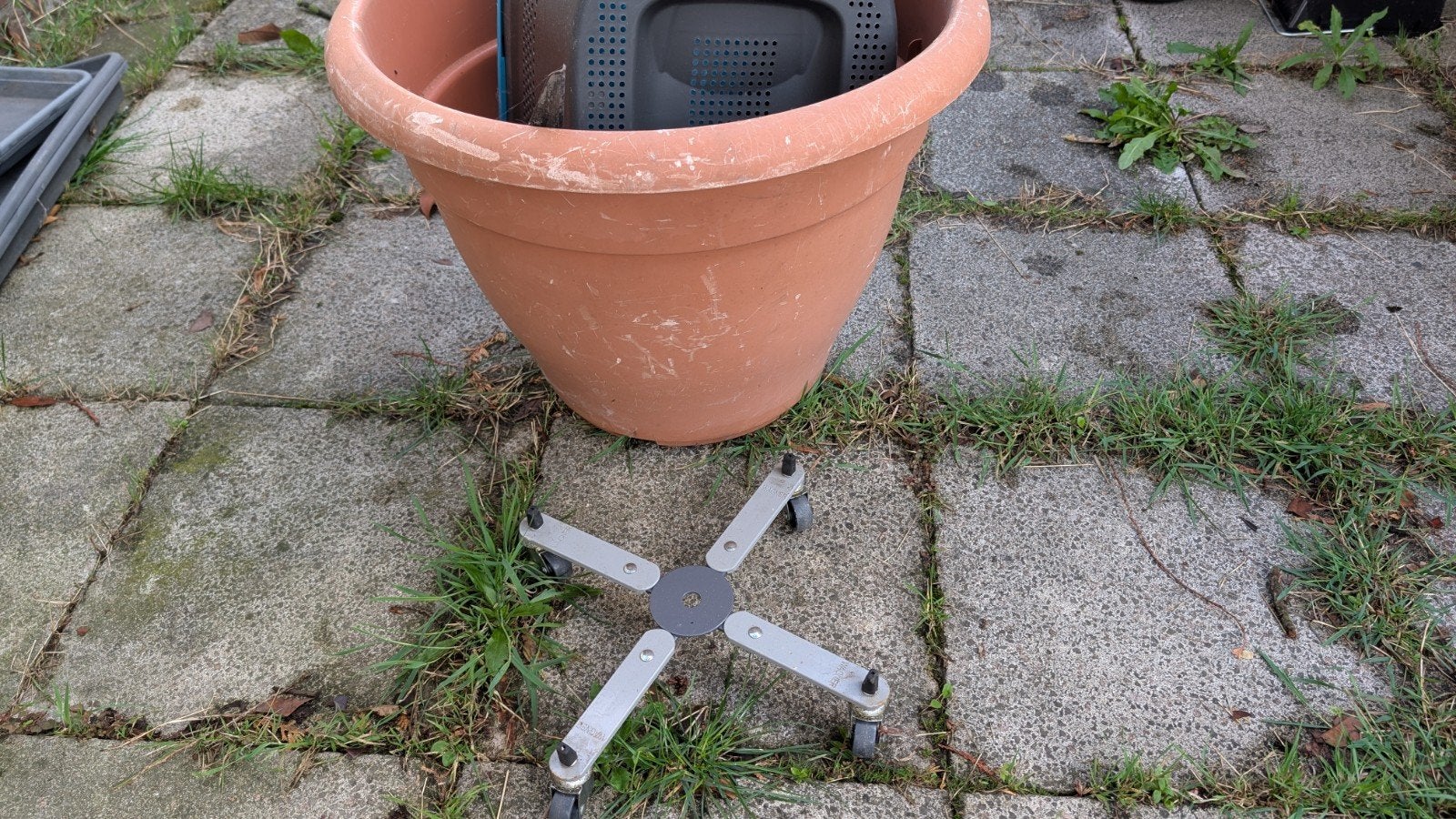 Elho Torino Campana bloempot 60cm 60L met wieltjes, Ophalen, Kunststof, Gebruikt, Rond