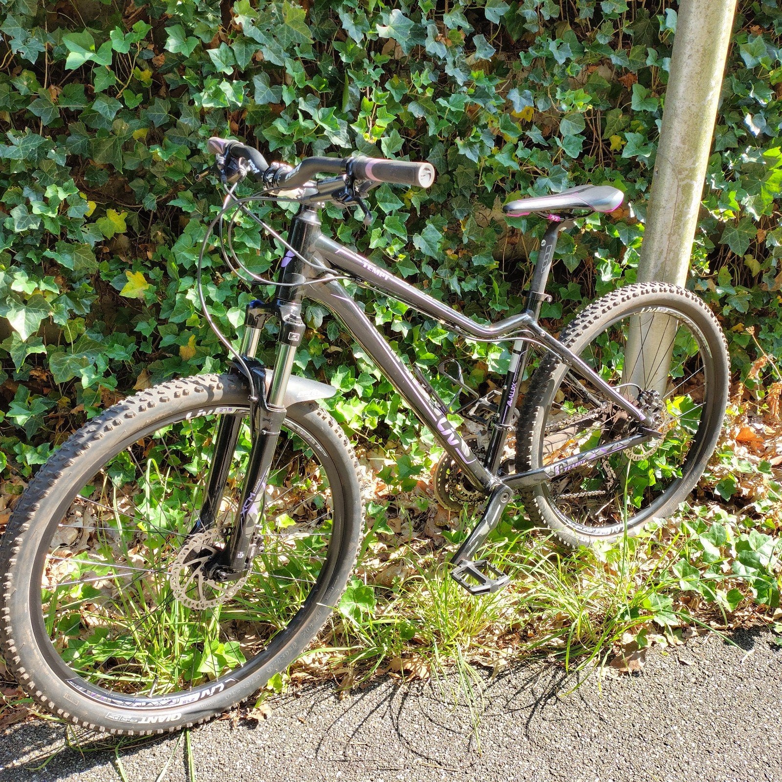 Giant Liv Tempt 3 maat M - z.g.a.n., Minder dan 45 cm, Ophalen, Zo goed als nieuw, Giant