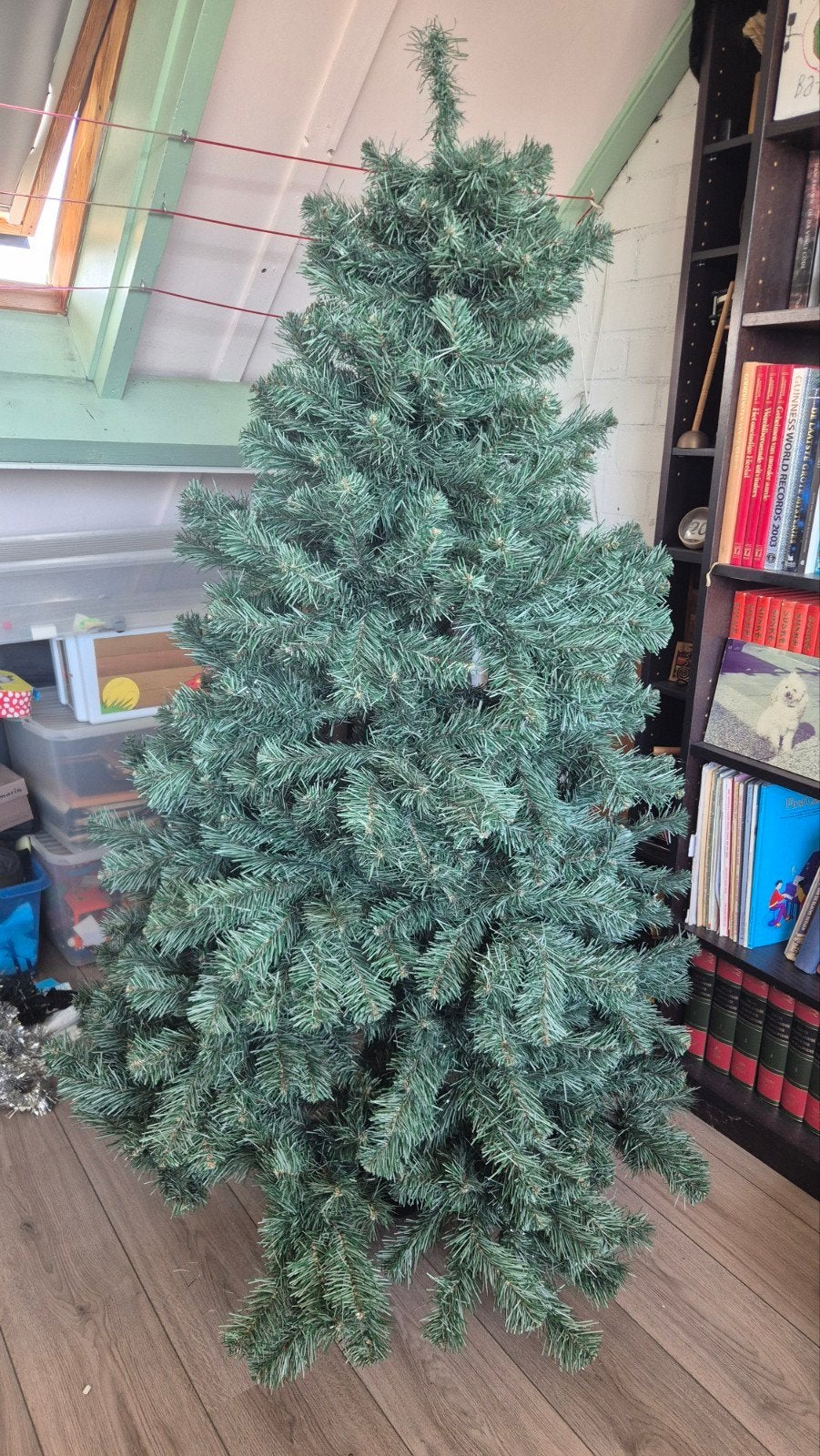 Kerstboom 1.60 - gratis, Ophalen, Gebruikt