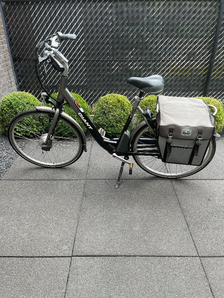 Giant Twist elektrische fiets, Ophalen, Gebruikt, Giant, 55 tot 59 cm