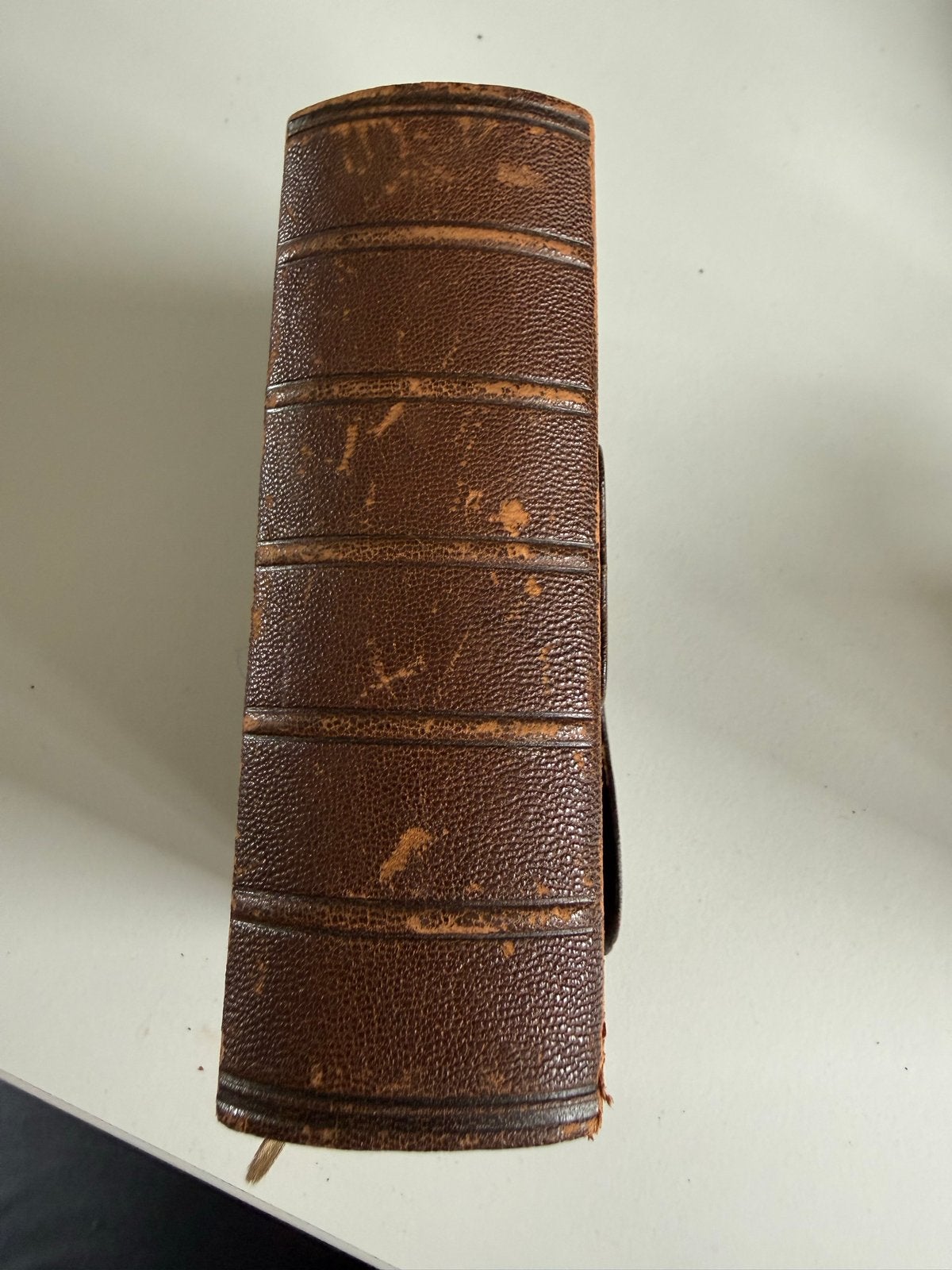 Het Nieuwe Testament, 1884 - Nederlands Bijbel-Compagnie, Antiek en Kunst, Verzenden