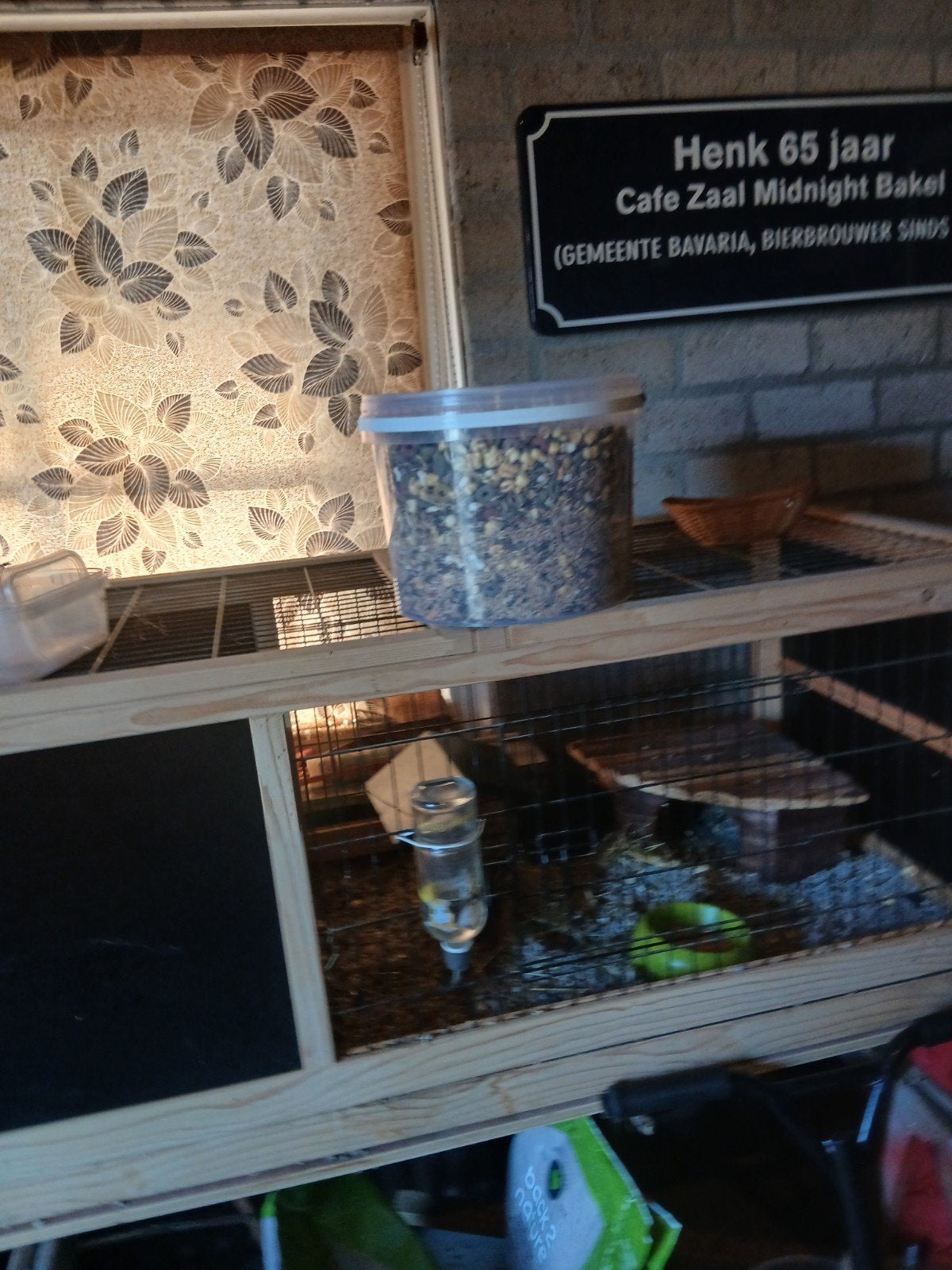 lieve zwart wite cavia, Dieren en Toebehoren, Cavia, Juni, Mannelijk, Tam