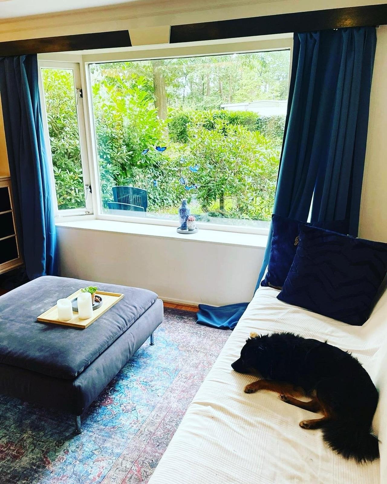 Tiny house te huur bij de bossen in Arnhem