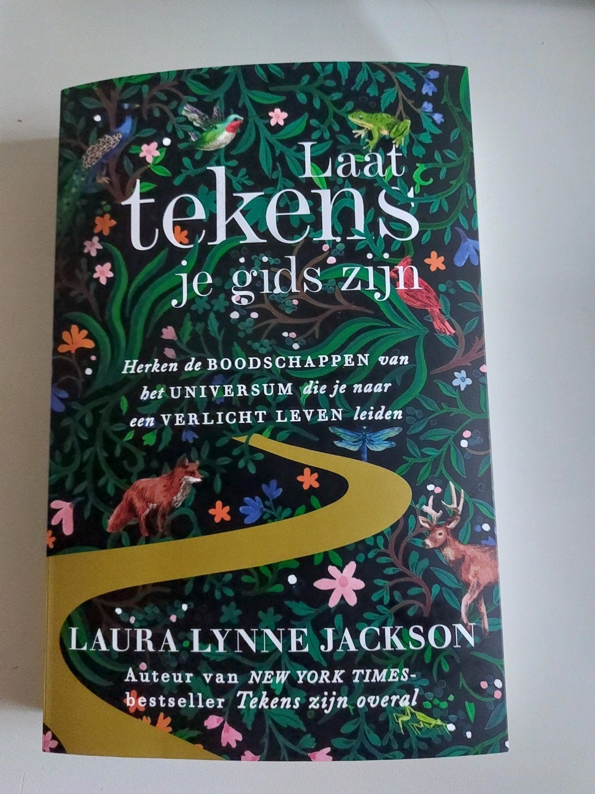 Laura Lynne Jackson - Laat tekens je gids zijn, Boeken, Ophalen of Verzenden, Zo goed als nieuw, Laura Lynne Jackson