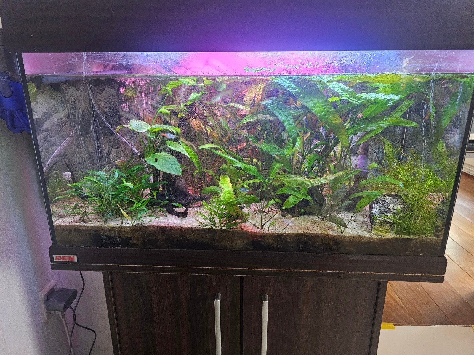 Aquarium met toebehoren, Dieren en Toebehoren, Ophalen, Gebruikt, Gevuld zoetwateraquarium, Eheim