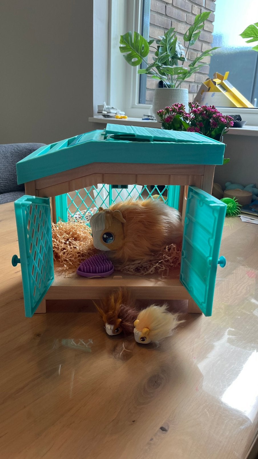 Iittle live pets cavia, Dieren en Toebehoren, Kooi, 110 cm of meer, Zo goed als nieuw, Cavia