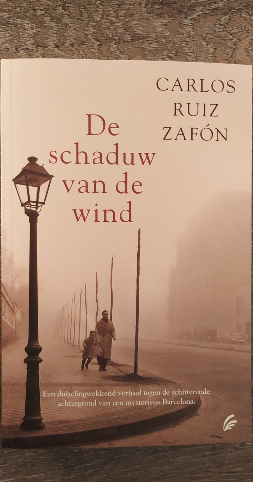 Carlos Ruiz Zafón - De schaduw van de wind, Boeken, Europa overig, Ophalen of Verzenden, Zo goed als nieuw, Carlos Ruiz Zafón