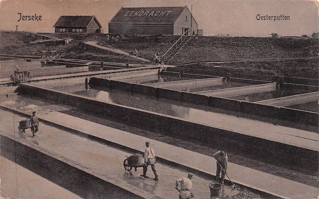 703-325-001 Yerseke Oesterputten, Verzamelen, Ophalen of Verzenden, Voor 1920, Zeeland
