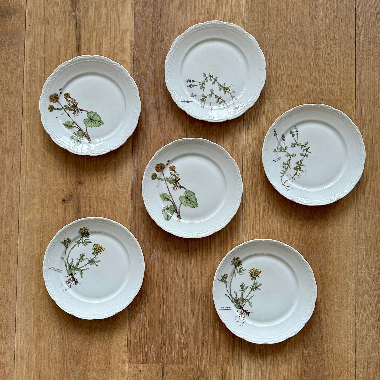 Servies Mitterteich Bavaria, Ophalen of Verzenden, Porselein, Overige stijlen