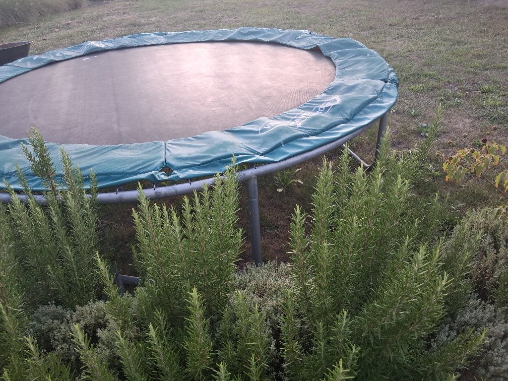 Trampoline, Ophalen, Gebruikt