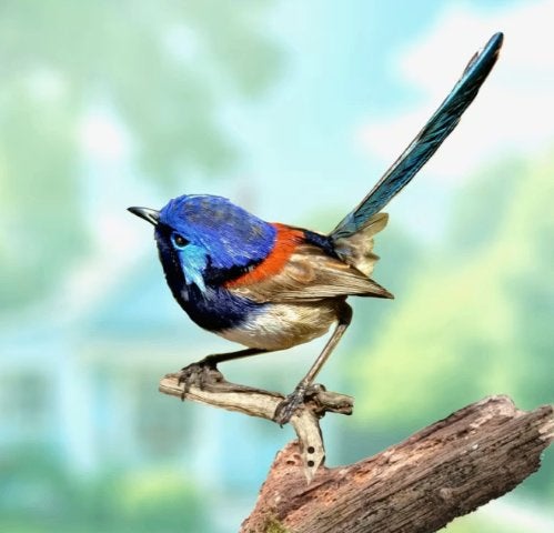Boom/Muurdecoratie blauwkop vogel metaal, Ophalen of Verzenden, Nieuw