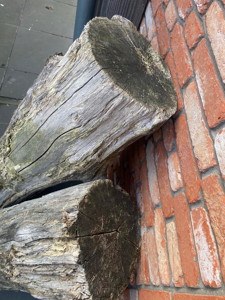 Grote eikenhouten stammen/blokken (4 stuks), Tuin en Terras, Haardhout, Minder dan 3 m³, Ophalen, Eikenhout, Blokken