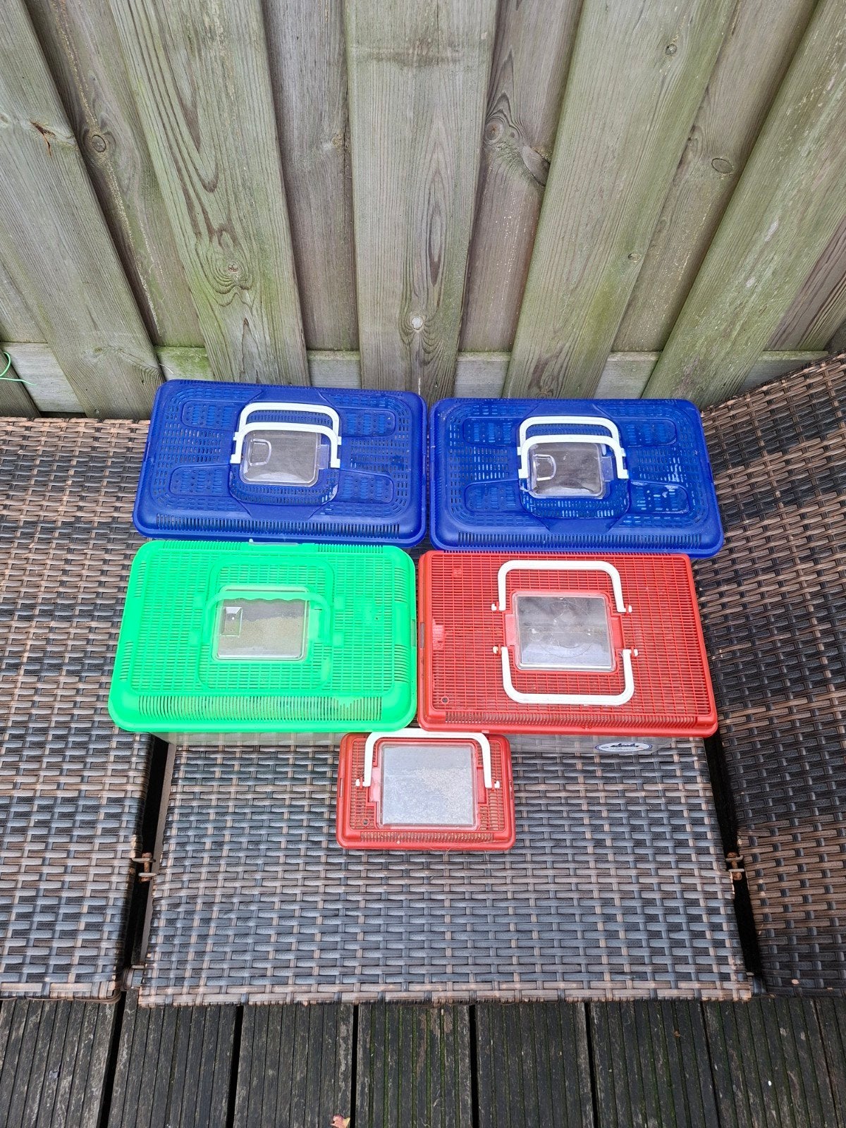 kunstof terrarium/aquarium, Dieren en Toebehoren, Ophalen of Verzenden, Gebruikt, Terrarium of Paludarium