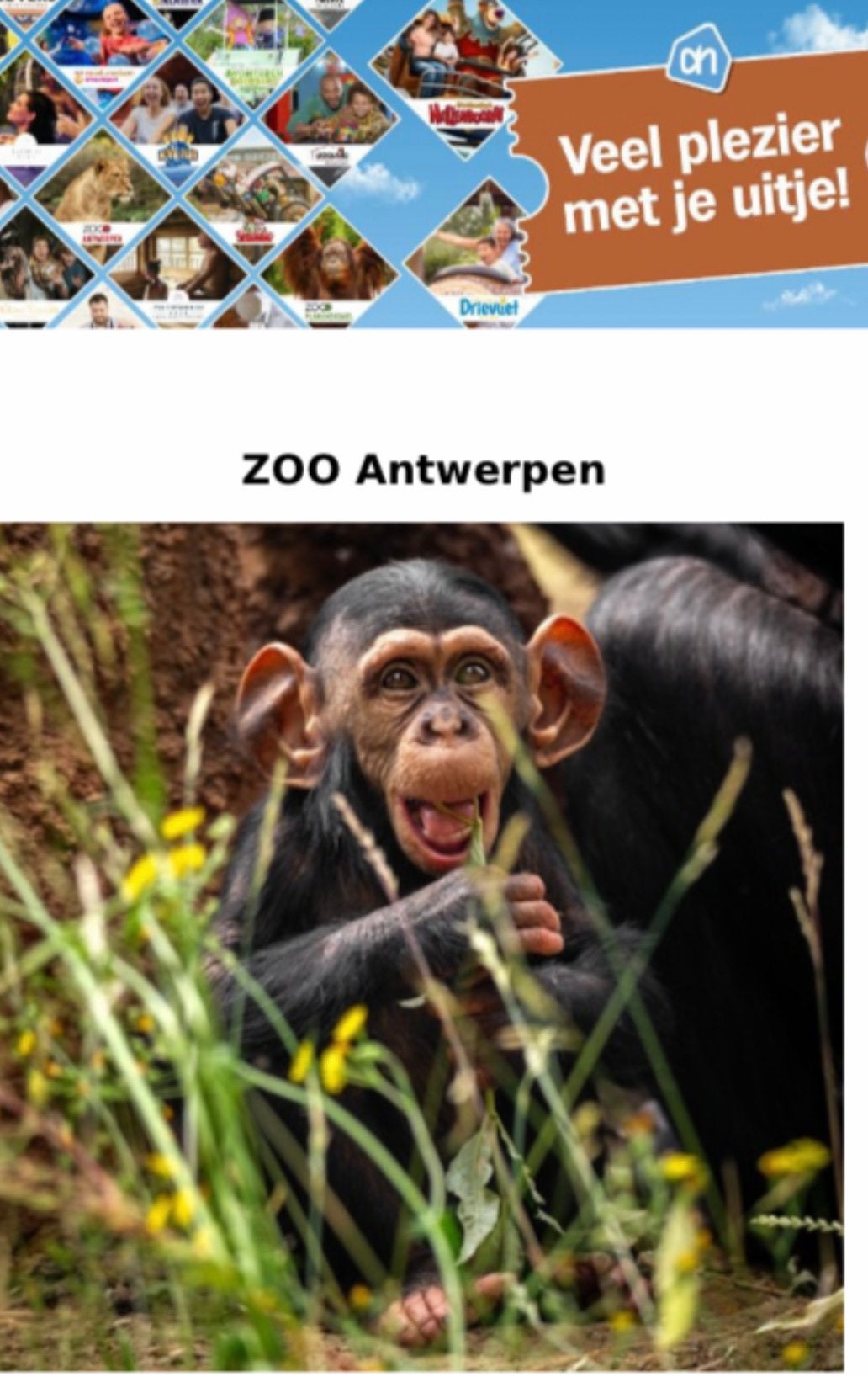 1x Toegangskaartje zoo antwerpen volwassene, Eén persoon, Ticket of Toegangskaart