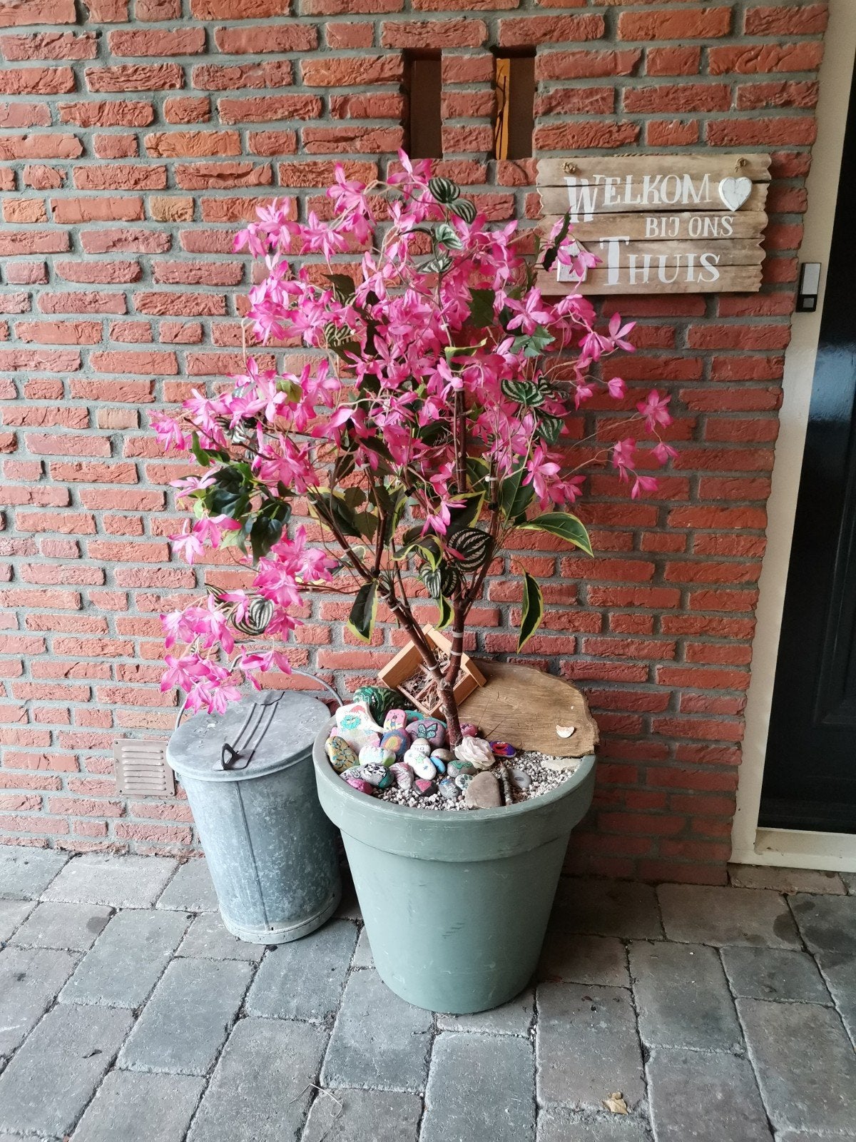 leuke decoratie boom met pot, let op is zwaar., Ophalen