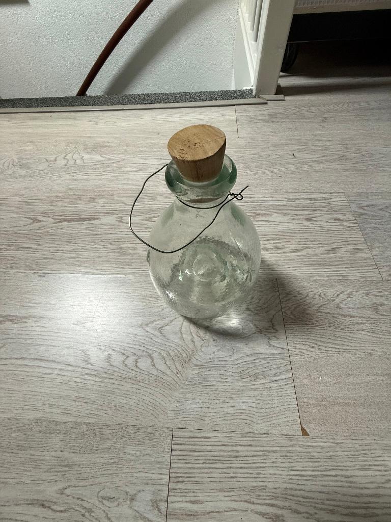 Wespen glas., Bijen