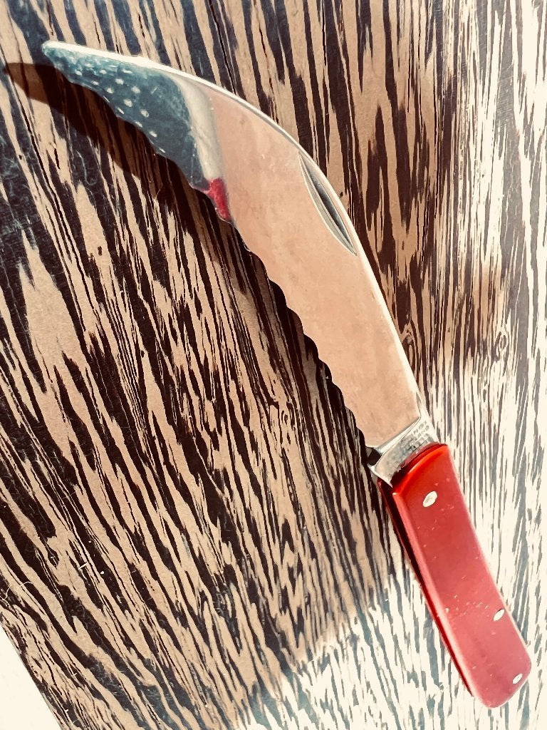 Victorinox Bakery knife, Ophalen of Verzenden, Nieuw