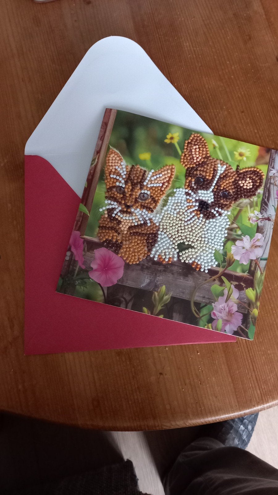 Kaart en envelop.
Diamond painting.
Hond en kat., Ophalen of Verzenden, Nieuw, Dieren
