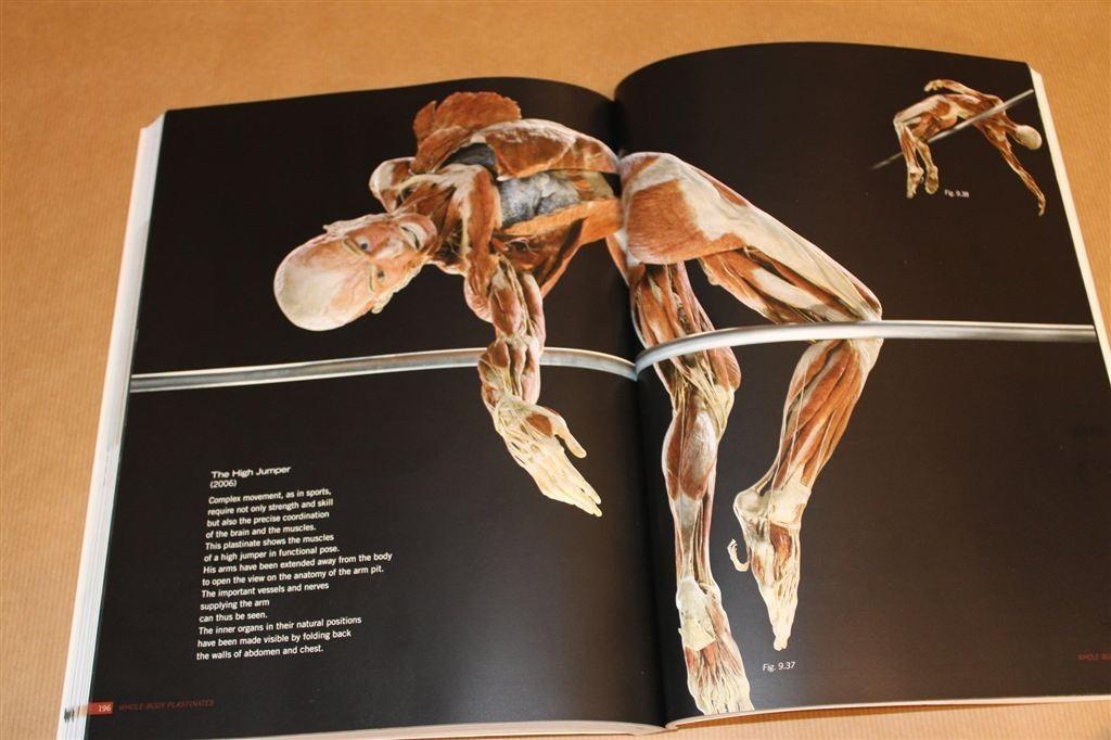 Body Worlds — De Wereld van het Menselijk Lichaam, Boeken, Ophalen of Verzenden, Zo goed als nieuw, Natuurwetenschap