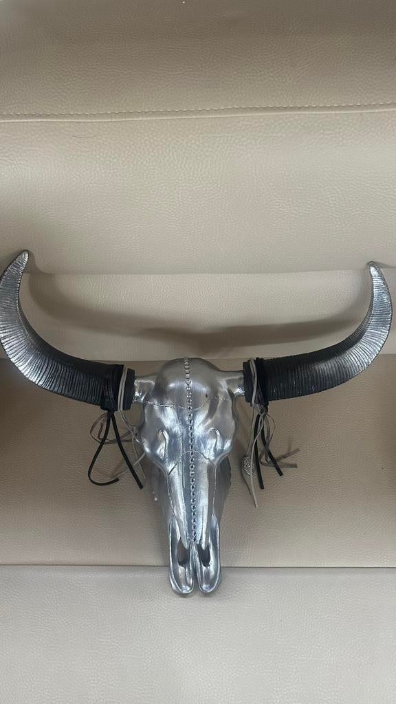 Skull decoratie, Ophalen of Verzenden