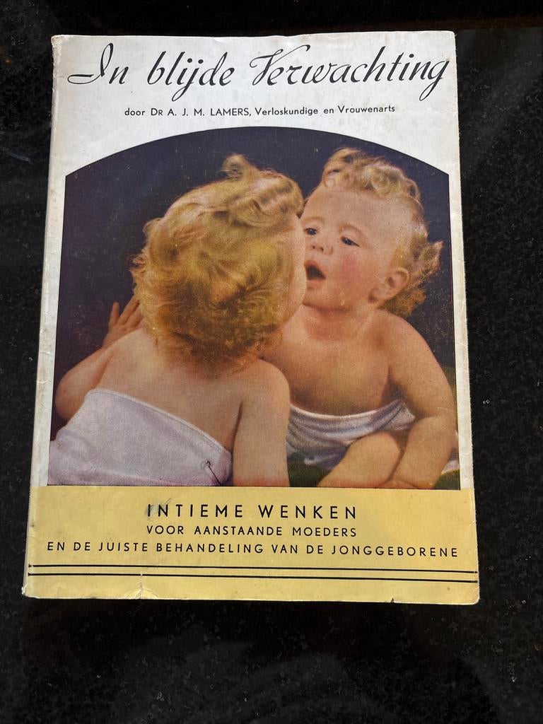In Blijde Verwachting - Zwangerschap & Babyboek, Ophalen of Verzenden, Gelezen, Zwangerschap en Bevalling