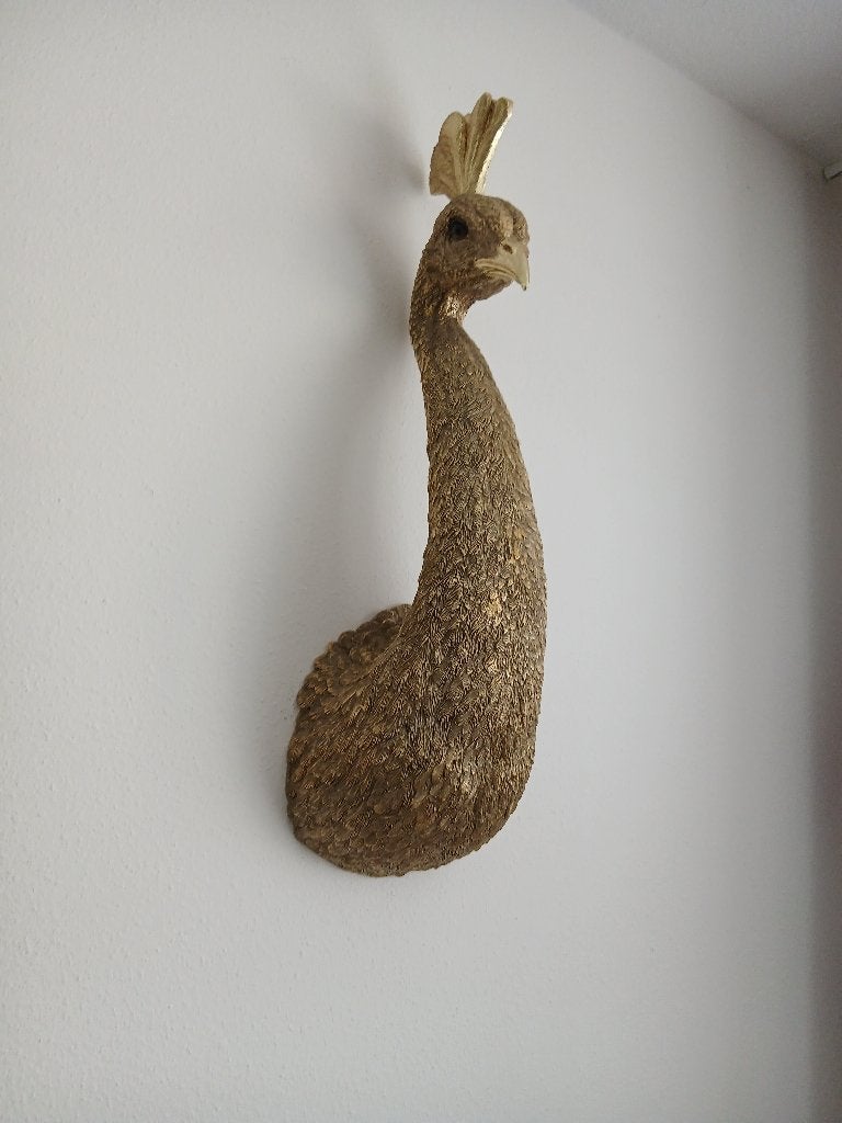 Kop van Pauw, Ophalen, Wandhanger, Composieten, Modern