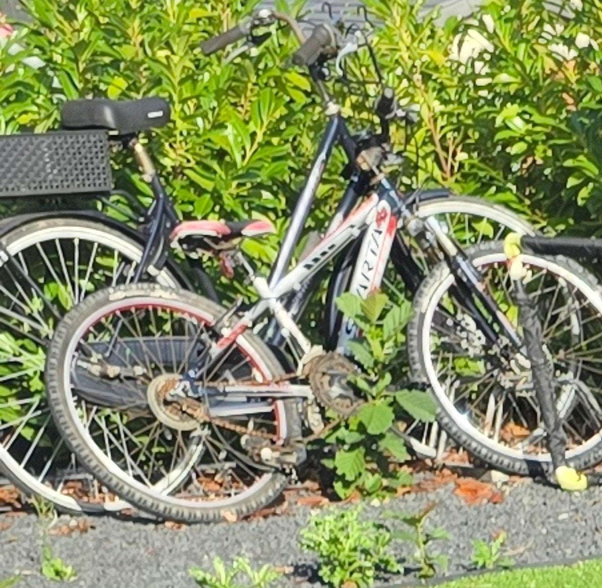 2 fietsen: 1 normale fiets en 1 mountainbike (opknapper), Ophalen, Gebruikt