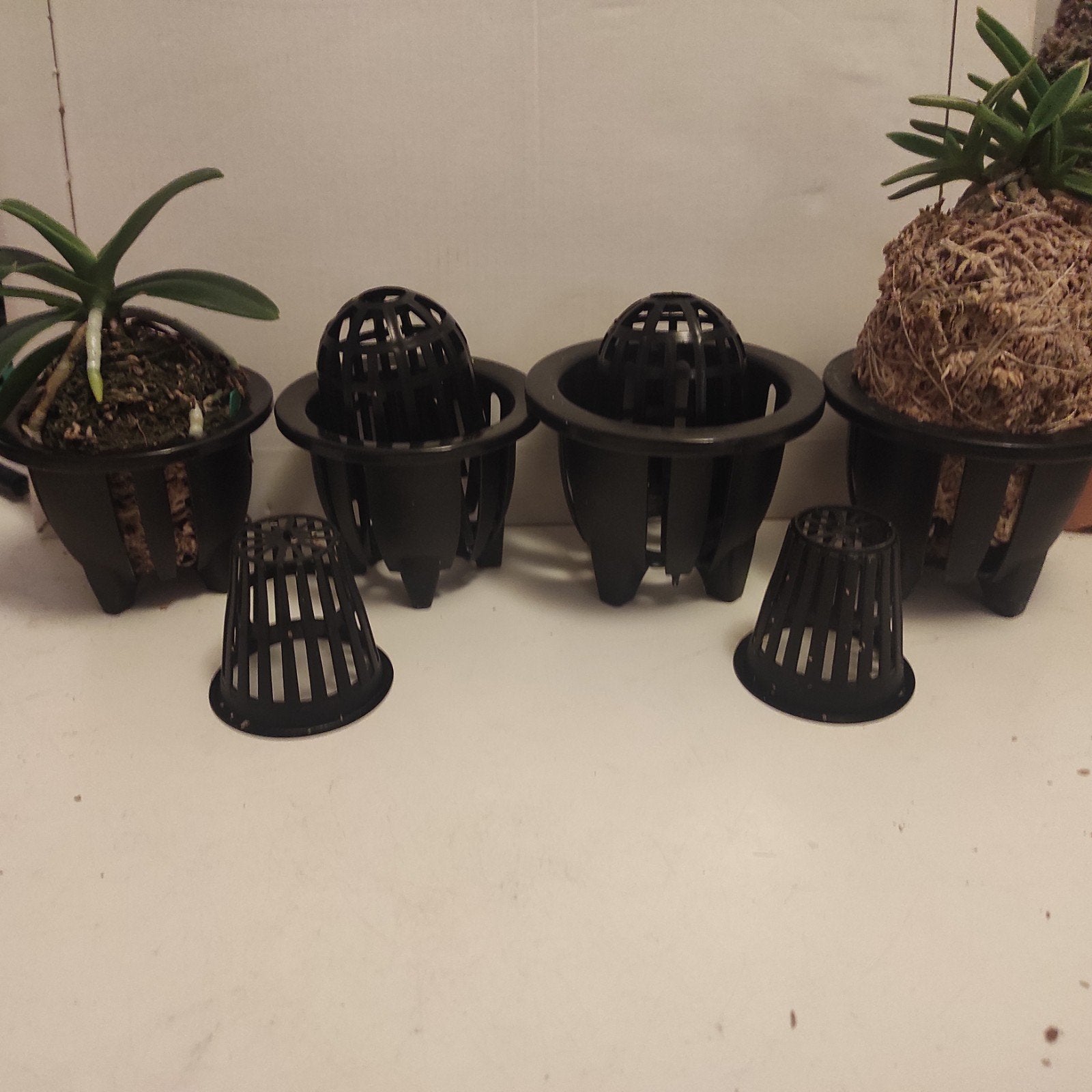 Neofinetia/Furan pots size 2.5, 3.0 and 3.5 (Koten Engei), Kunststof, Rond, Ophalen of Verzenden, Zo goed als nieuw