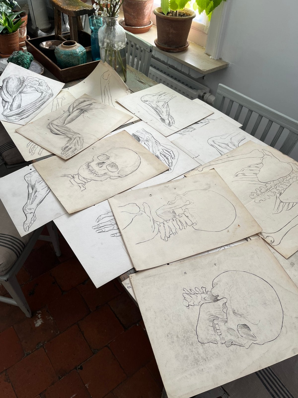 ACADEMIE TEKENINGEN ANATOMIE SKELET SCHEDEL POTLOOD ANTIEK, Ophalen of Verzenden