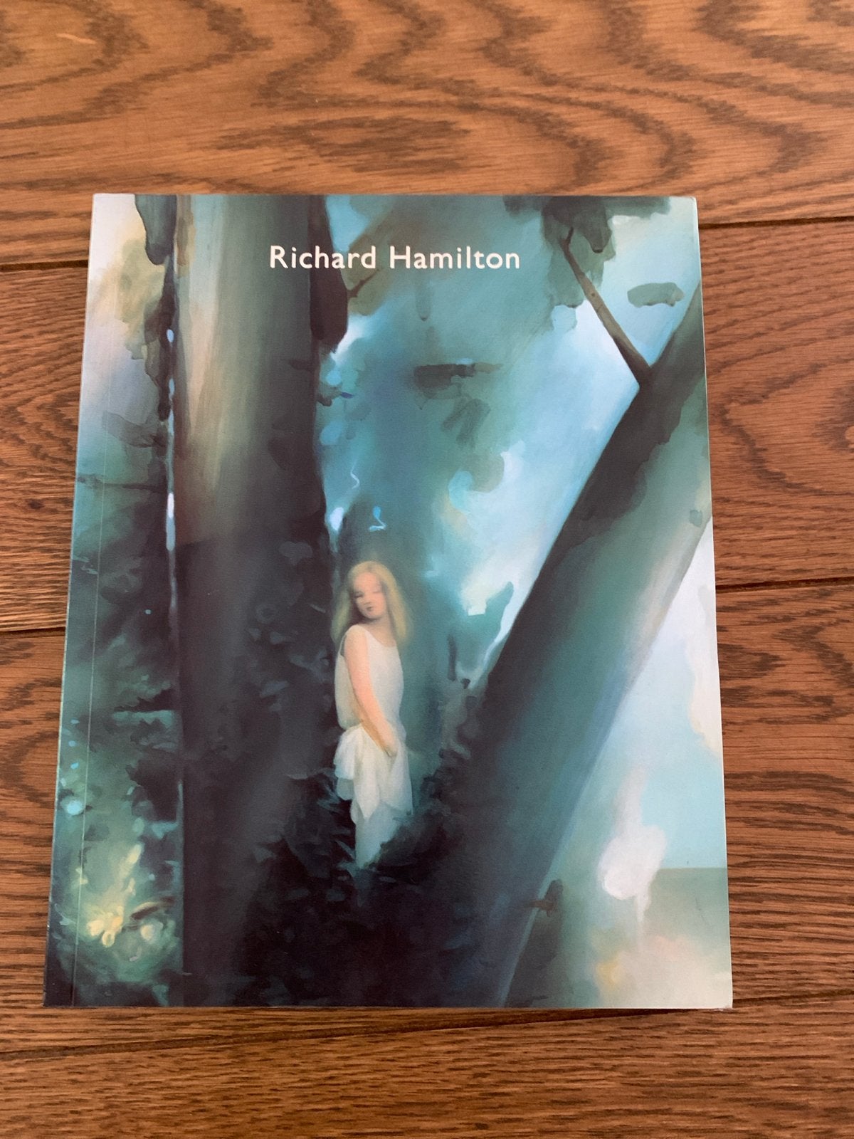 Richard Hamilton Kunstboek - Zo goed als nieuw, Ophalen of Verzenden, Zo goed als nieuw, Schilder- en Tekenkunst