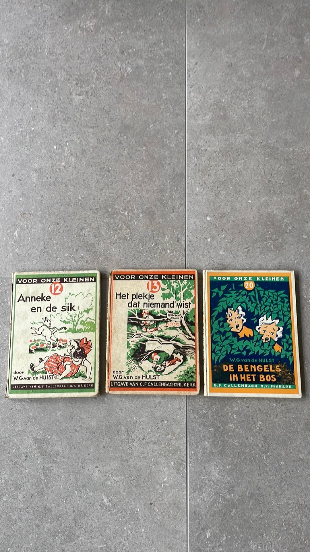 W.G. Van de Hulst Anneke en de sik bengels in het bos, Ophalen of Verzenden, Gelezen, Fictie algemeen