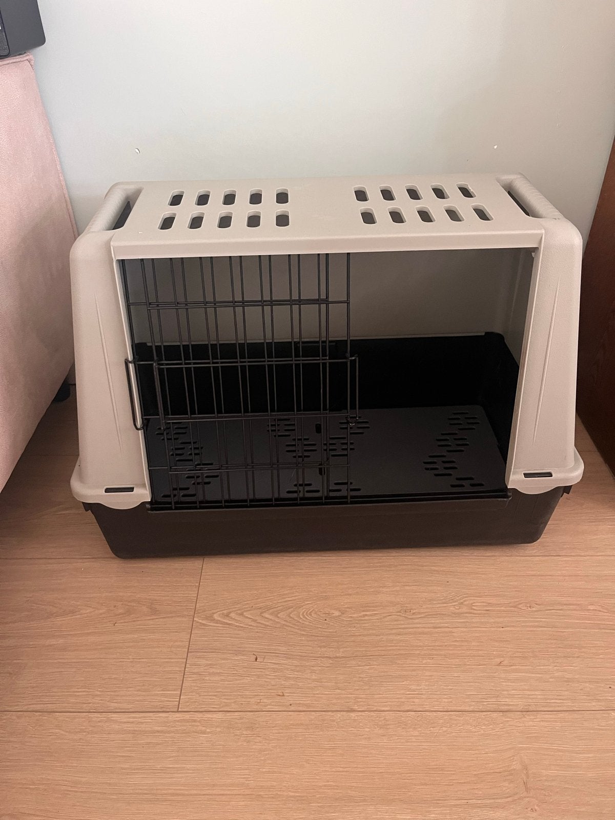 Reismand kat of kleine hond, Ophalen