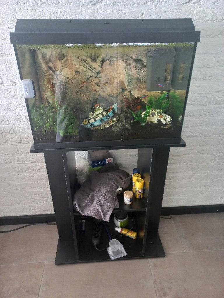 Aquarium nog draaiend, Ophalen, Gebruikt, Inclusief vissen, Gevuld zoetwateraquarium